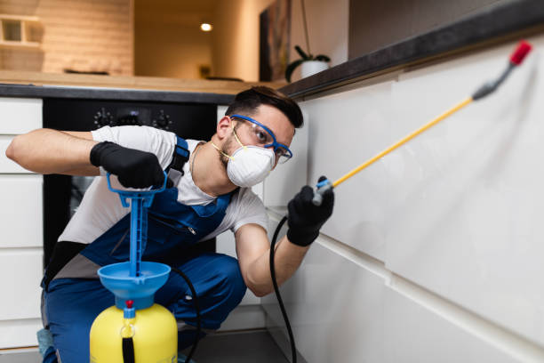 Best Bed Bug Extermination  in Latrobe, PA