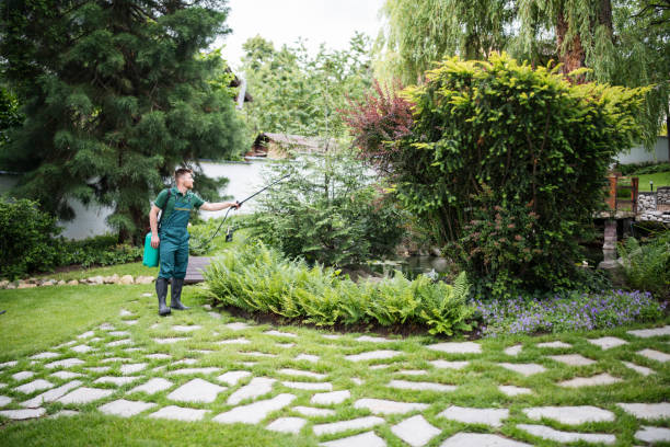 Best Residential Pest Control  in Latrobe, PA