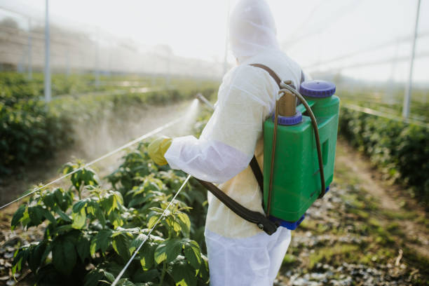 Best Pest Control Near Me  in Latrobe, PA